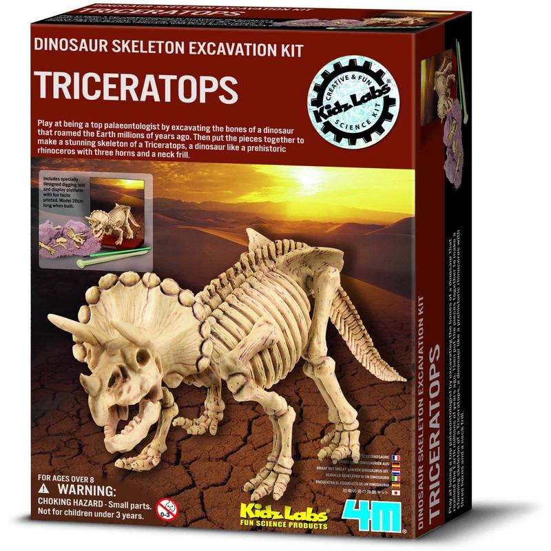 4M Kidz Labs/Dig A Triceratops Skeleton